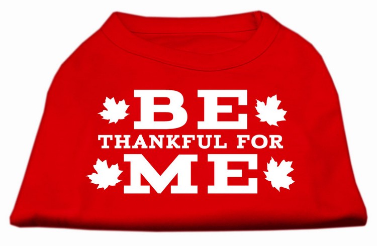 Be Thankful for Me Screen Print Shirt Red XXL